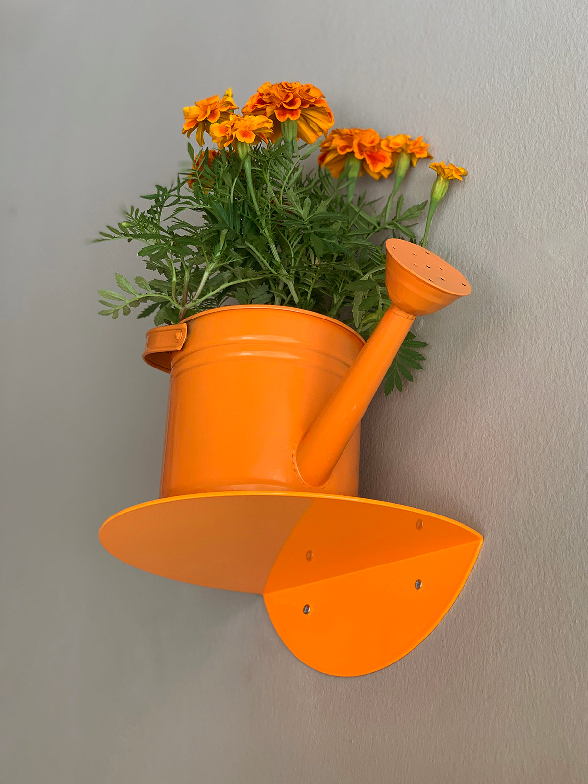 rundes regal / dot shelf neon orange