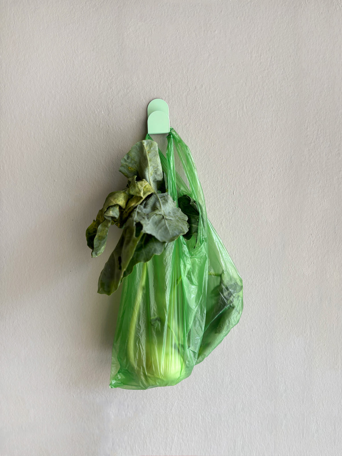 klebehaken / sticky hook mint