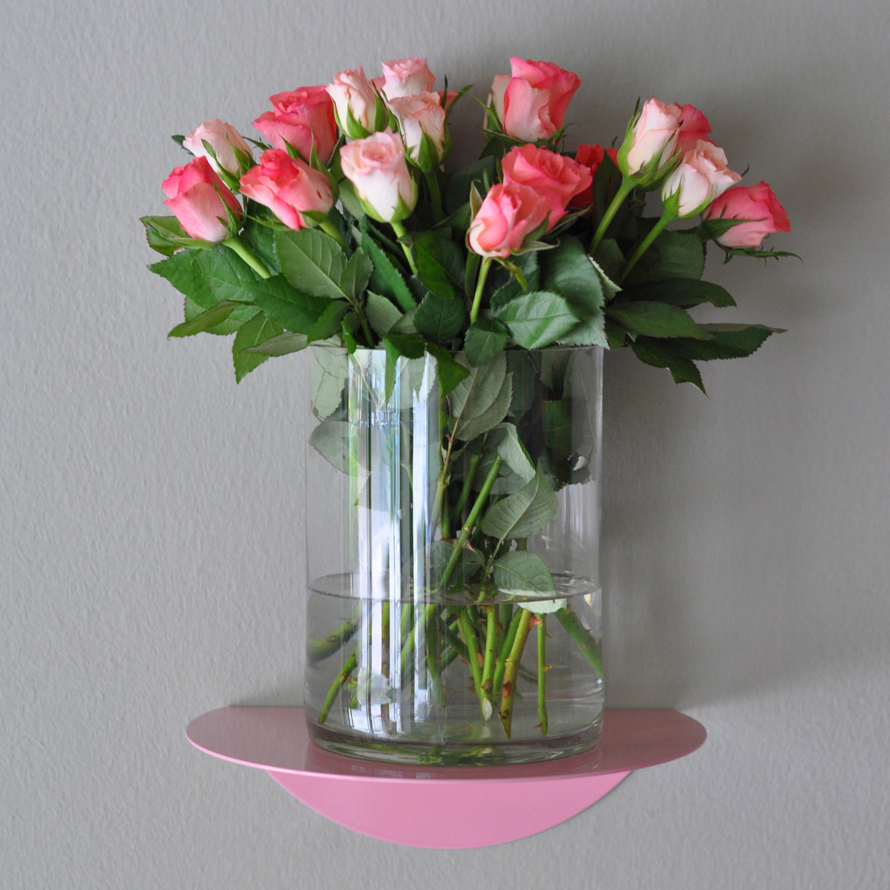 round shelf / dot shelf pink