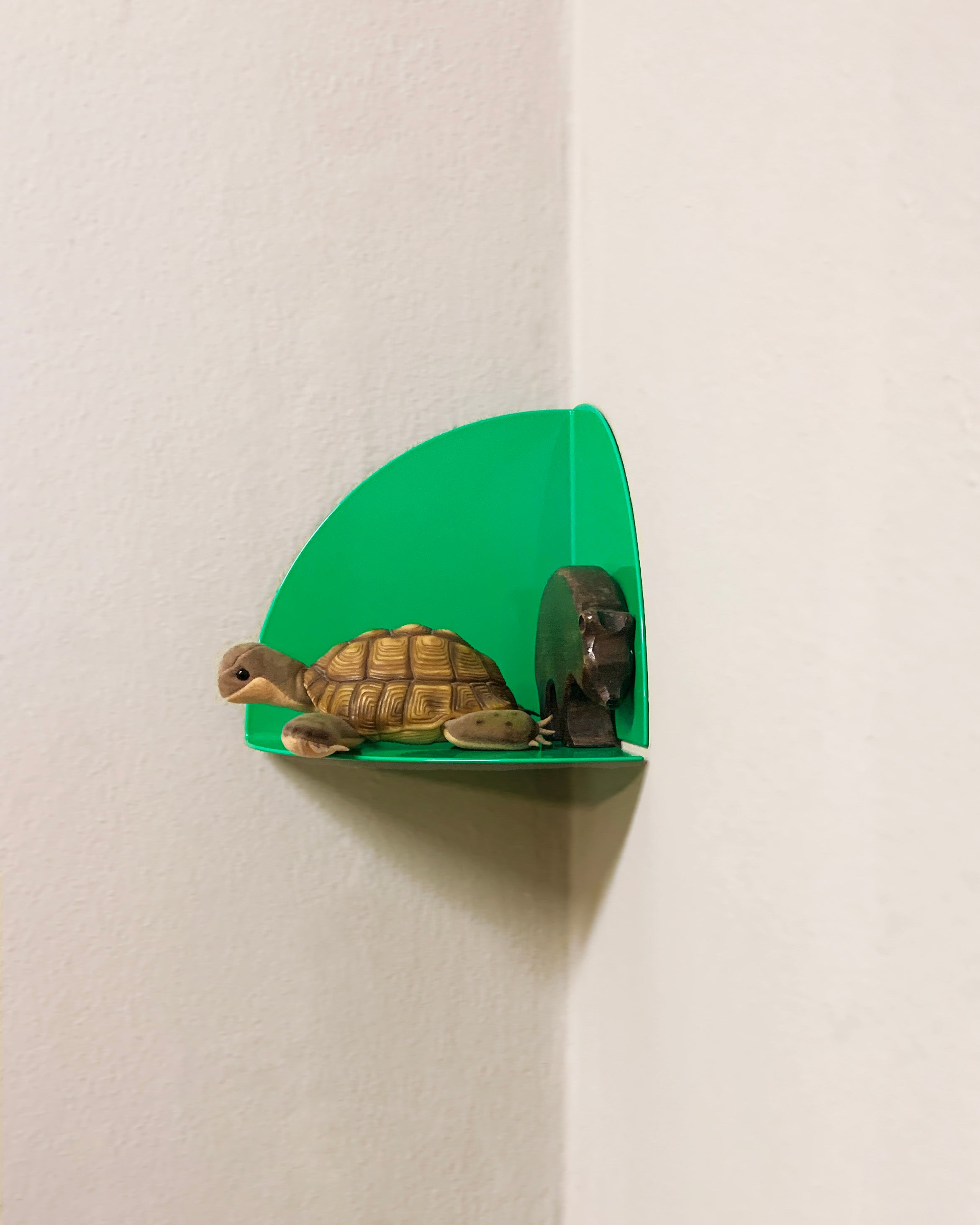 green – kolor.de green – kolor.de