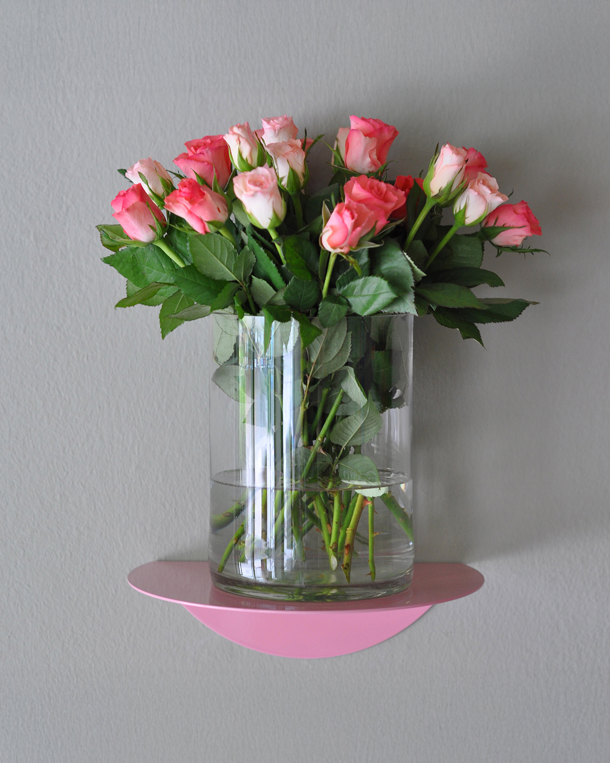 round shelf / dot shelf pink